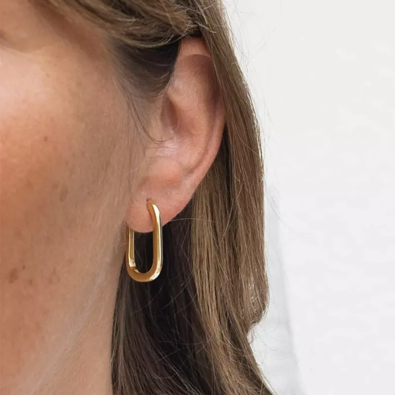 Mesh Silver Earrings 8255002D