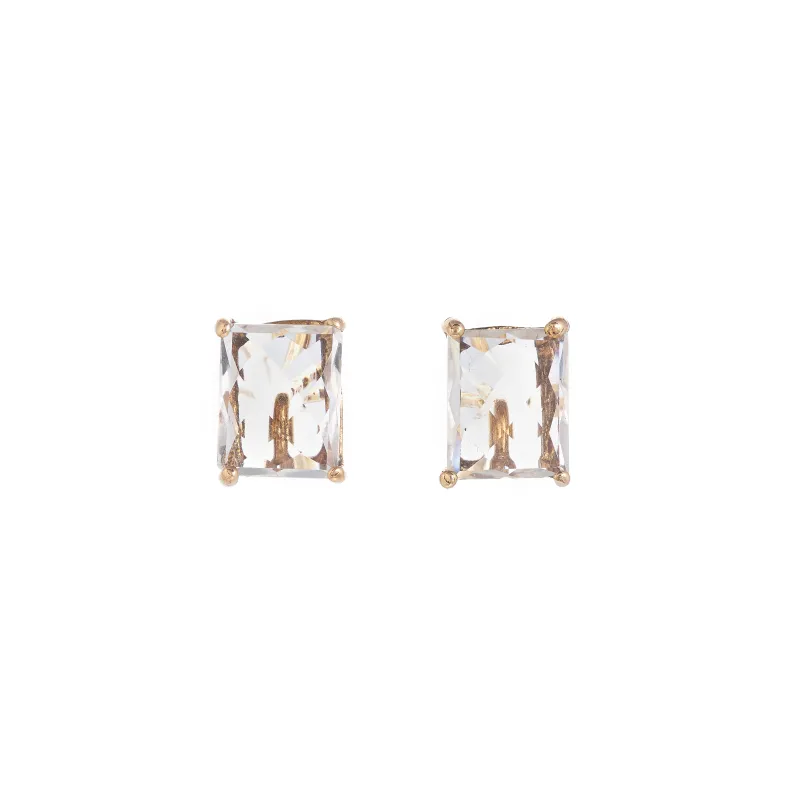 Marcolino Verdegreen Earrings in Steel BRI13118CR