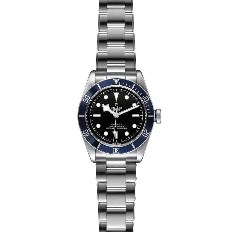 Tudor Black Bay 79230B/72060P