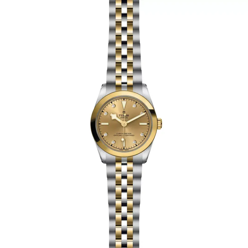Tudor Black Bay 31 S&G M79603-0008