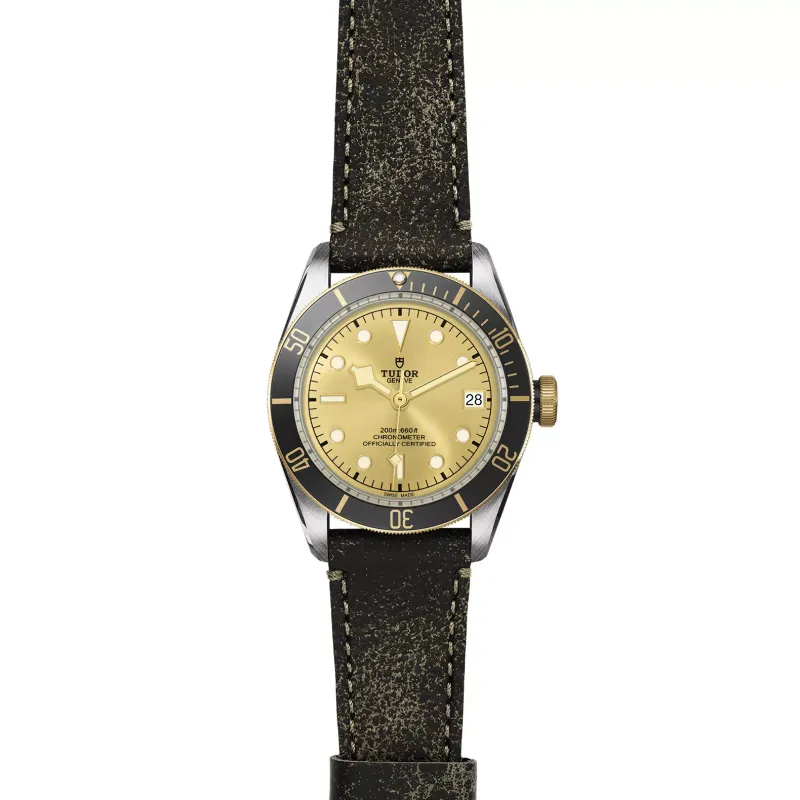 Tudor Black Bay S&G M79733N-0003