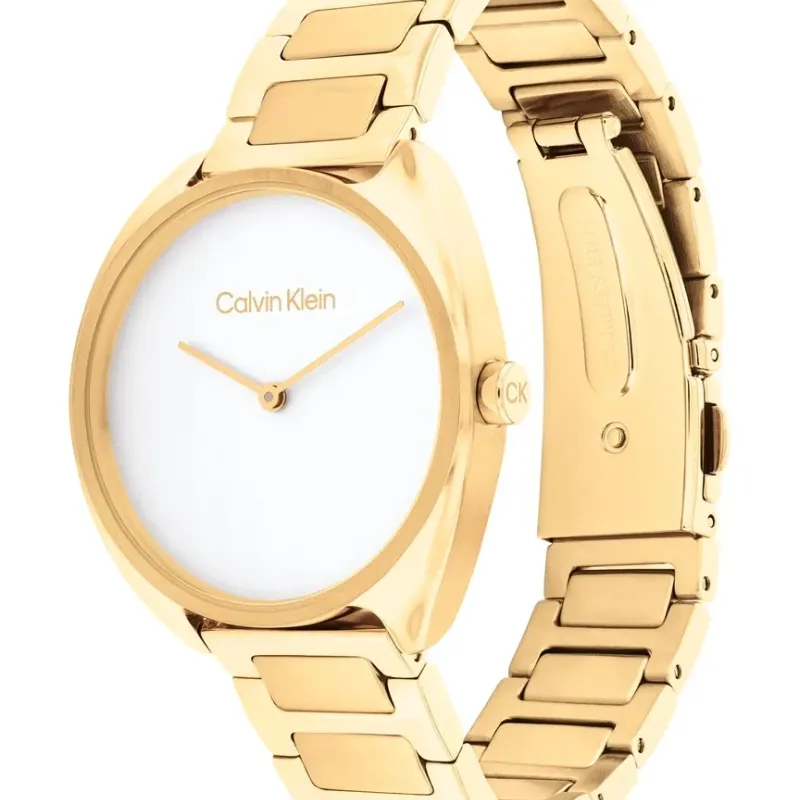 Calvin Klein Adorn 25200276