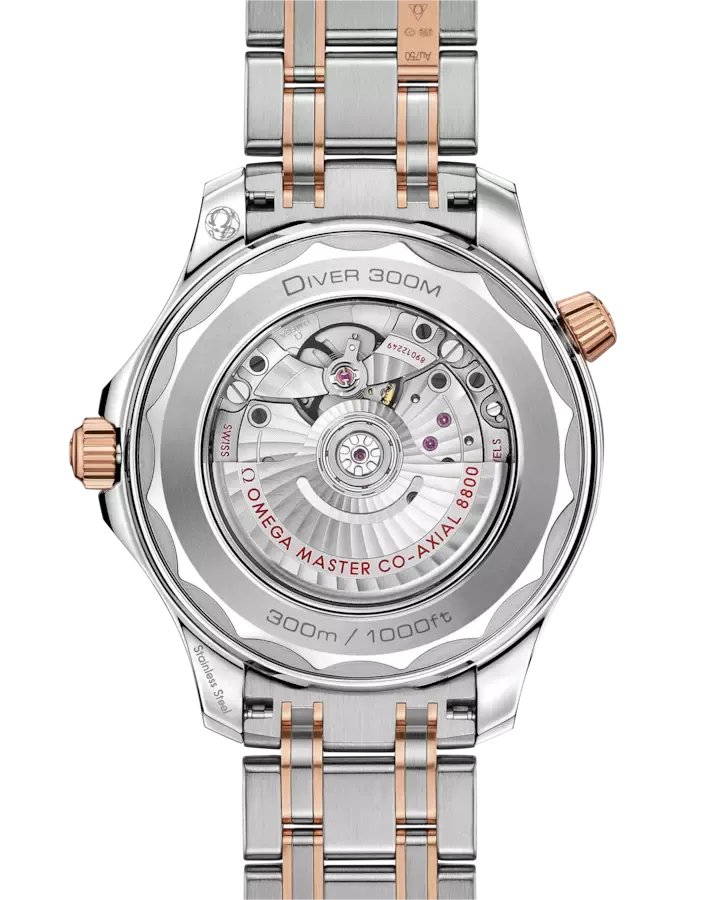 Seamaster Diver 300M Co-Axial                               