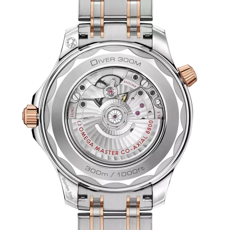 Omega Seamaster Diver 300M Co-Axial 21020422001001