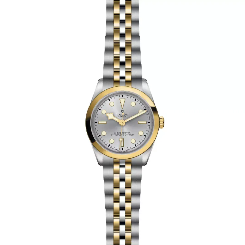 Tudor Black Bay 36 S&G M79643-0002