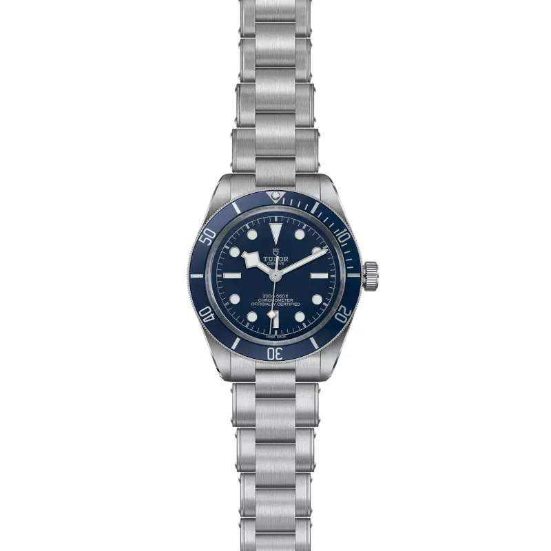 Tudor Black Bay 58 79030B/72040AI