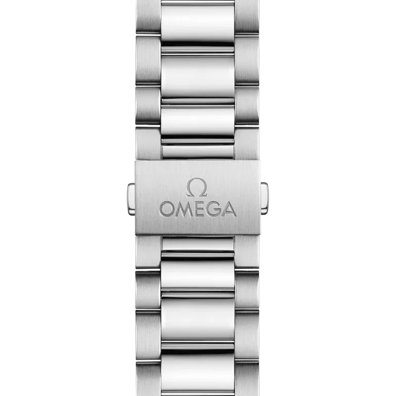 Omega Seamaster Aqua Terra 150M 22010382010003