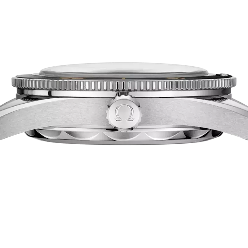 Omega Seamaster 300 23432412101001