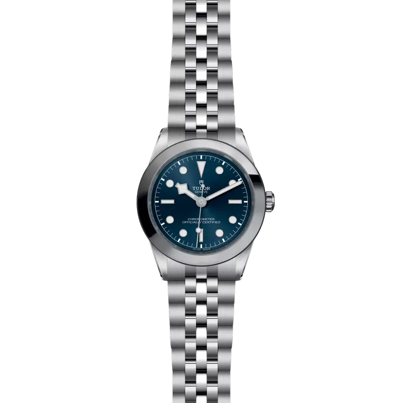 Tudor Black Bay 39 M79660-0002