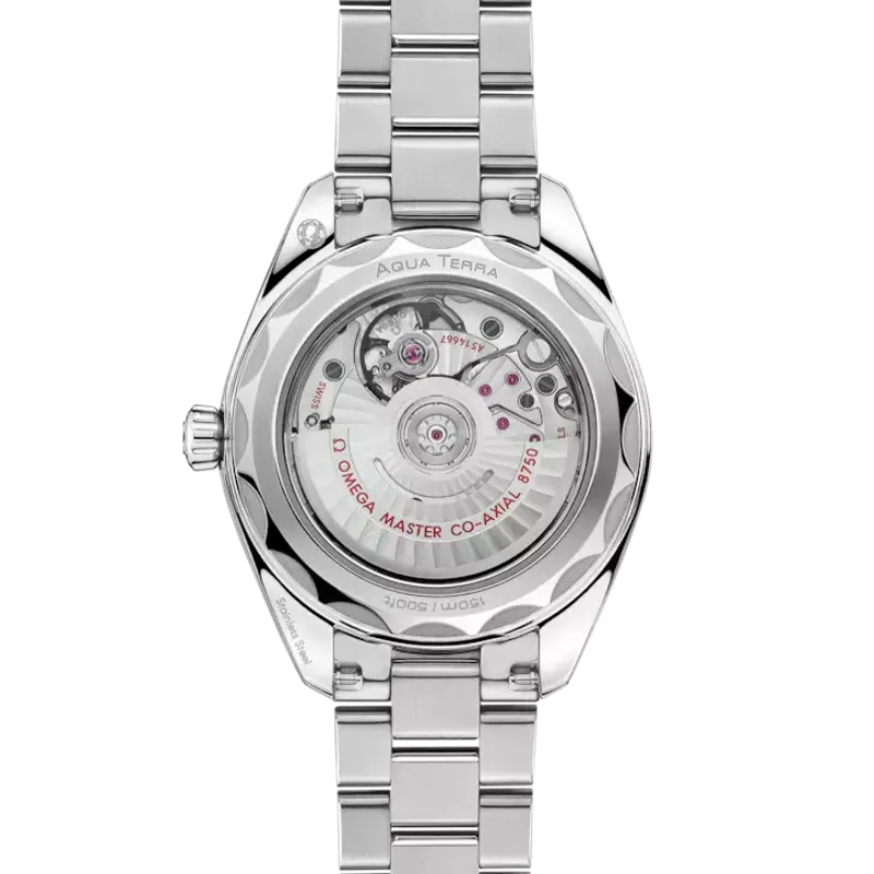 Omega Seamaster Aqua Terra 150M 22010302003001