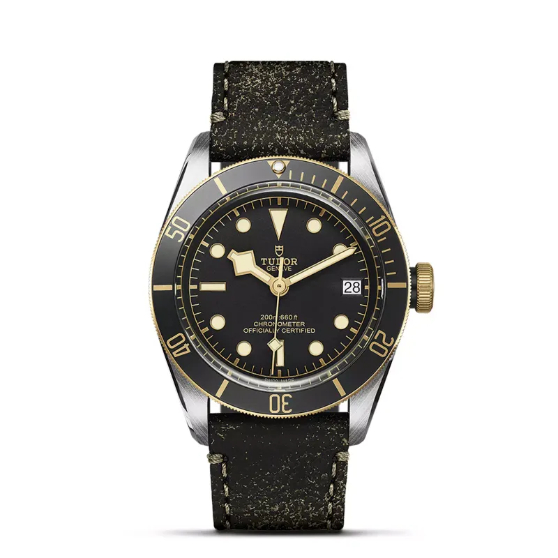 TUDOR Black Bay S&G M79733N-0007