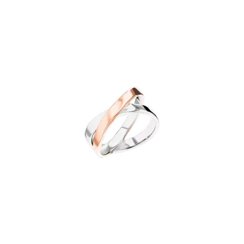 Image CKJ ELLIPTICAL RING SS & RG 58