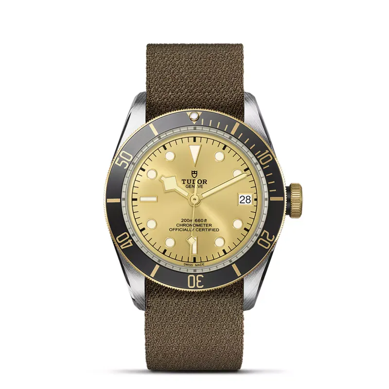 Tudor Black Bay S&G M79733N-0006