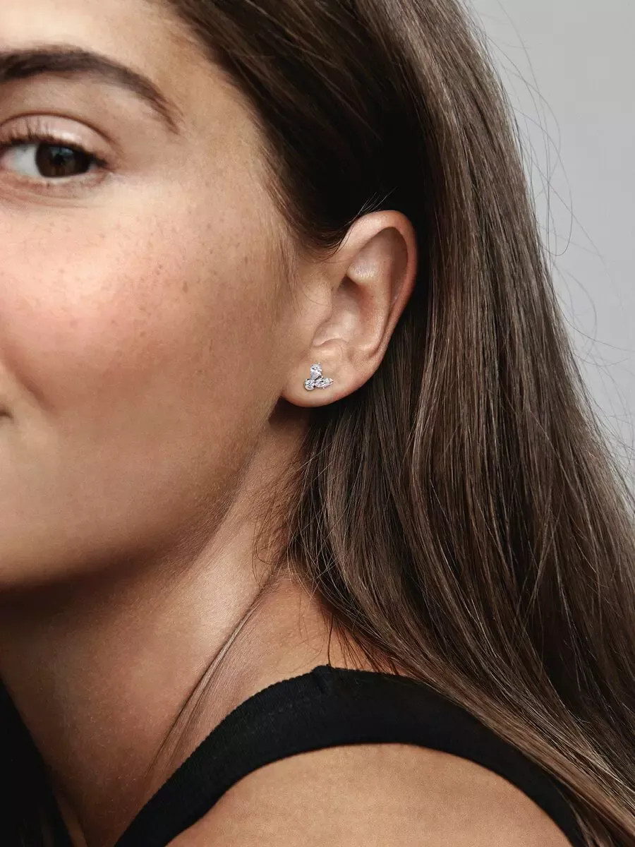 Brincos Sparkling Herbarium Cluster Stud                    