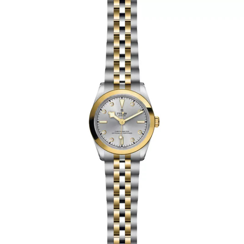 Tudor Black Bay 31 S&G M79603-0007