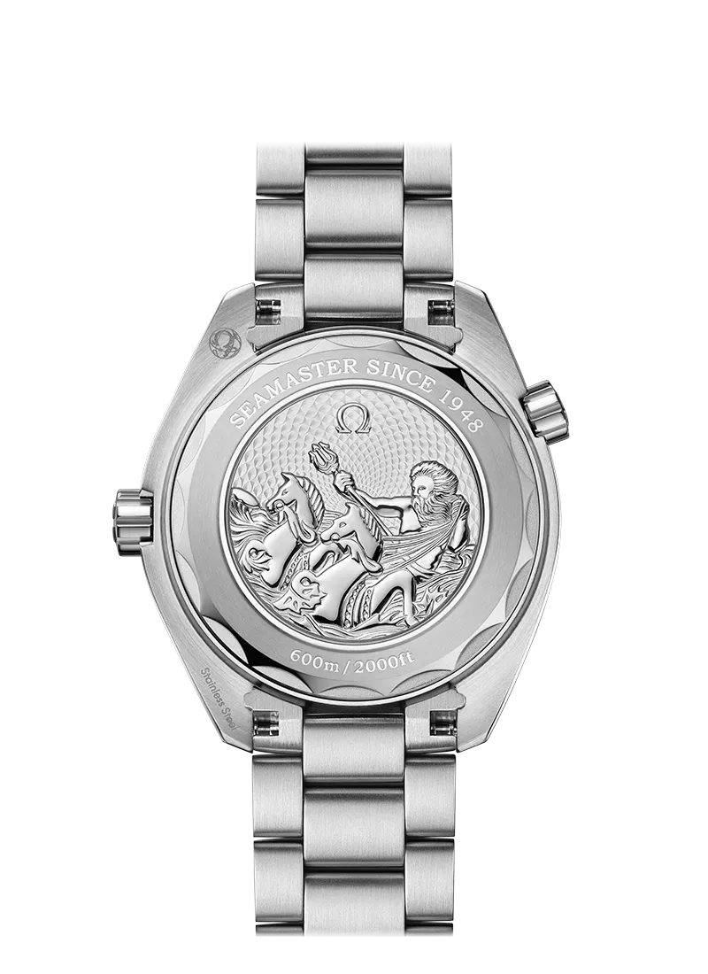 Imagem Seamaster Diver 300M Co-Axial Master