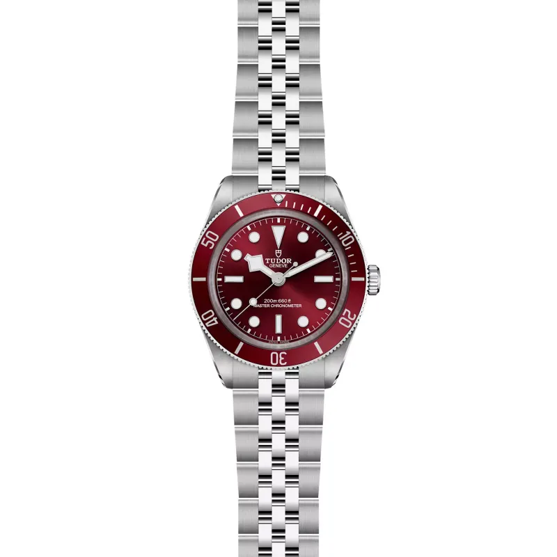 Tudor Black Bay 58 M7939A1A0RU-0001