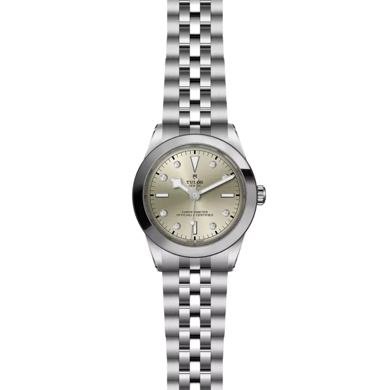 Tudor Black Bay 39 M79660-0006