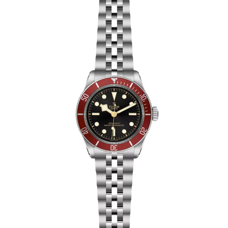 Tudor Black Bay M7941A1A0RU-0003