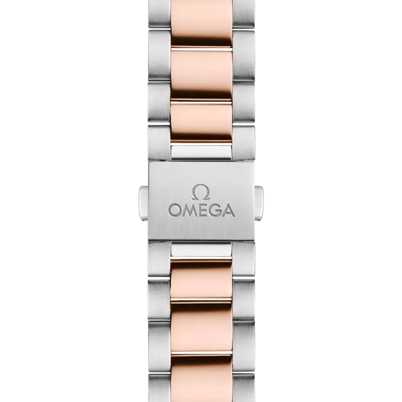 Omega Seamaster Aqua Terra 150M 22020342003001