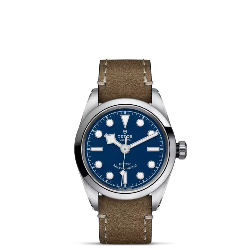 Tudor Black Bay 32 M79580-0004
