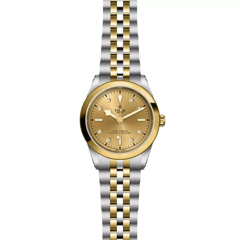 Tudor Black Bay 41 S&G M79683-0008