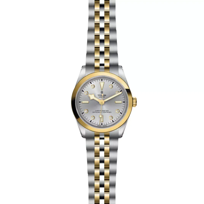 Tudor Black Bay 36 S&G M79643-0007