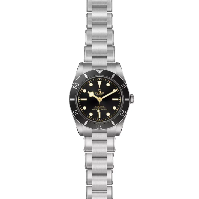 Tudor Black Bay 54 M79000N-0001