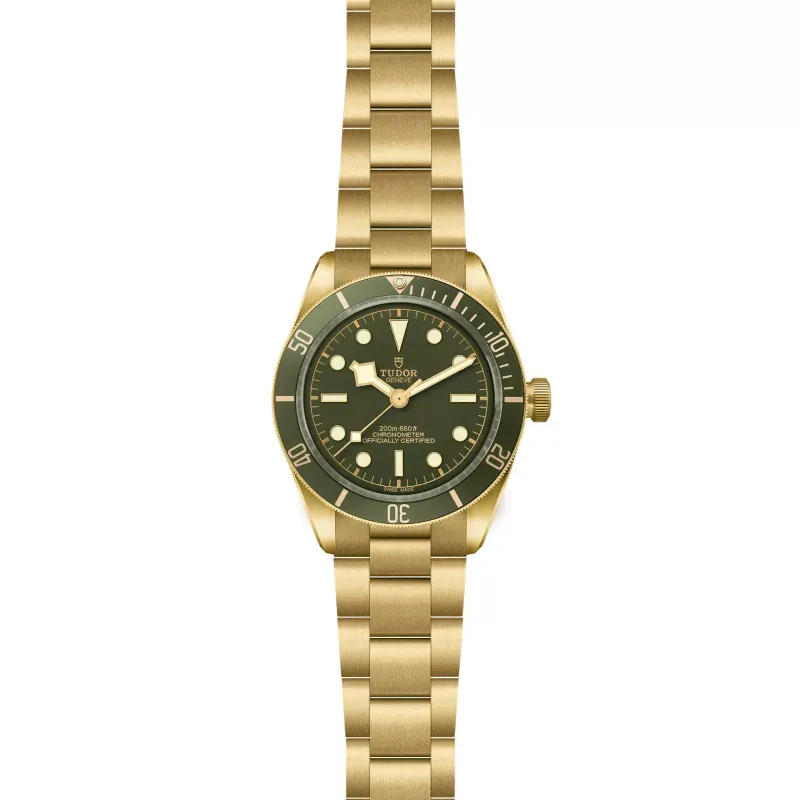Tudor Black Bay 58 18K M79018V-0006
