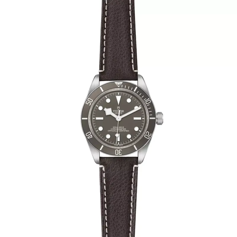 Tudor Black Bay 58 925 M79010SG-0001