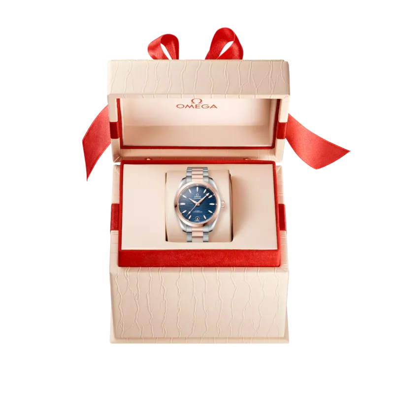 Omega Seamaster Aqua Terra 150M 22020342003001