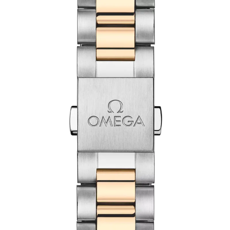Omega Seamaster Aqua Terra 150M 22020302002001
