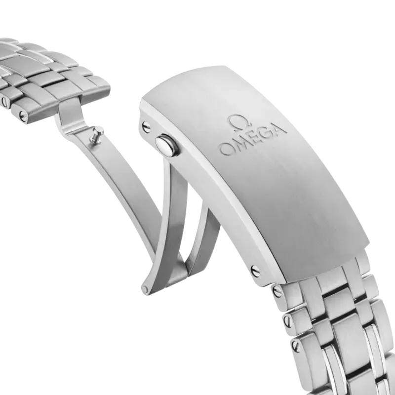 Omega Seamaster Diver 300M Co-Axial Master 21030422001001