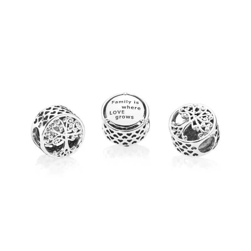 Pandora CNT AG FAMILY ROOTS 2g 797590