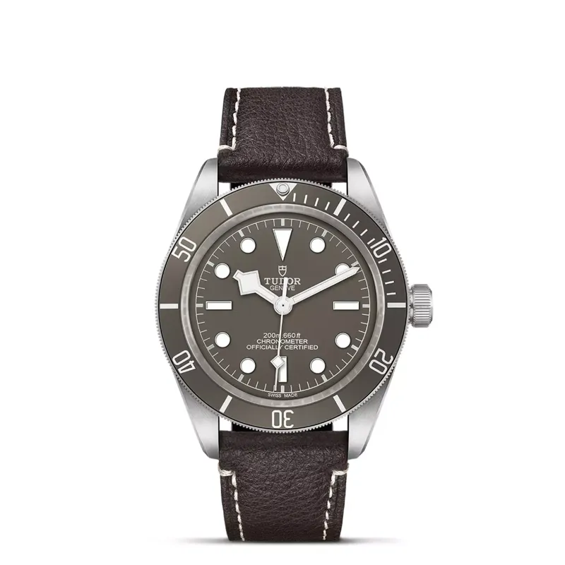 TUDOR Black Bay 58 925 M79010SG-0001