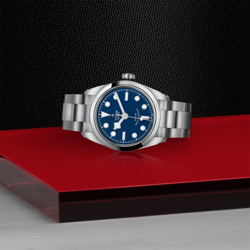 Tudor Black Bay 32 M79580-0003