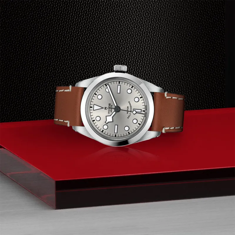 Tudor Black Bay 36 M79500-0016