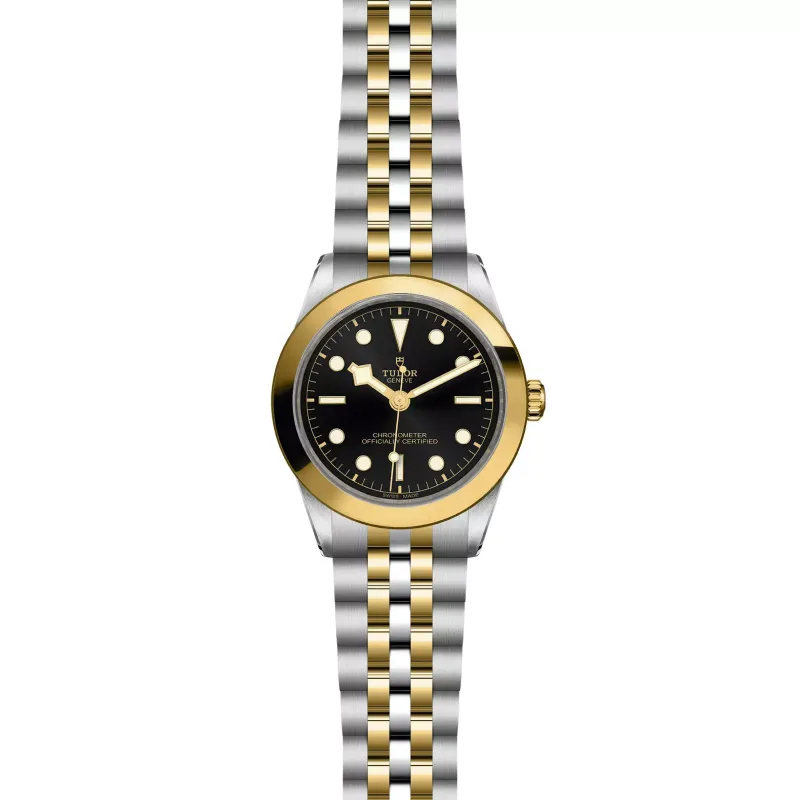 Tudor Black Bay 39 S&G M79663-0001