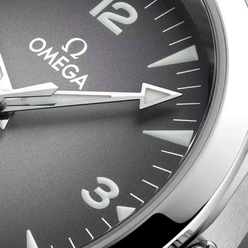 Omega Seamaster Railmaster 23510382006001