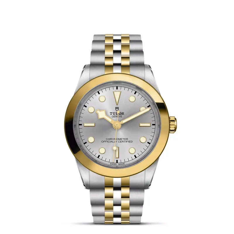 Tudor Black Bay 39 S&G M79663-0002