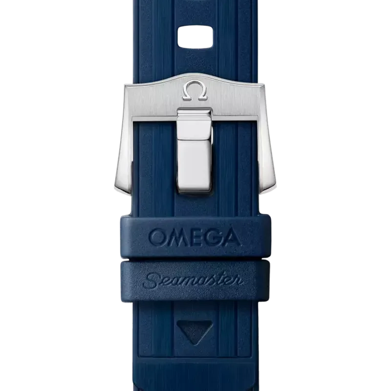 Omega Seamaster Diver 300M Co-Axial Master 21032422003001