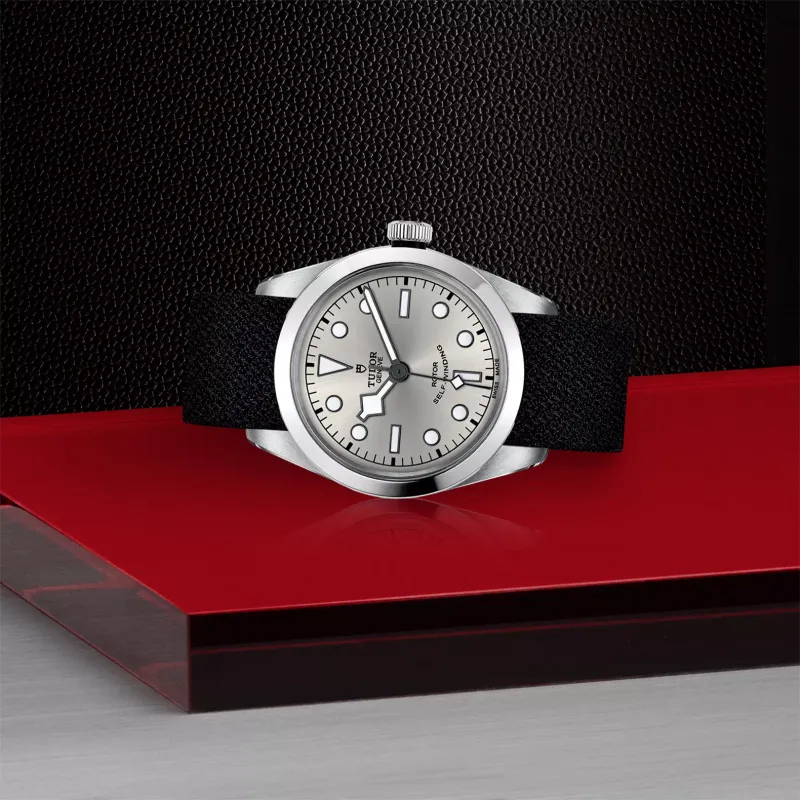 Tudor Black Bay 36 M79500-0014