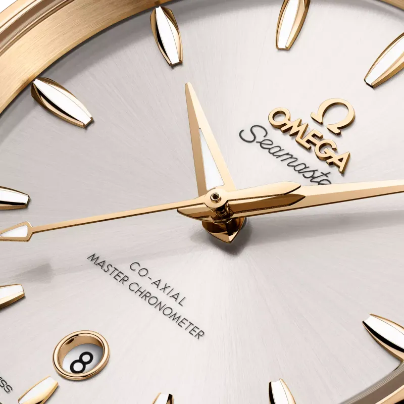 Omega Seamaster Aqua Terra Shades 22020382002002