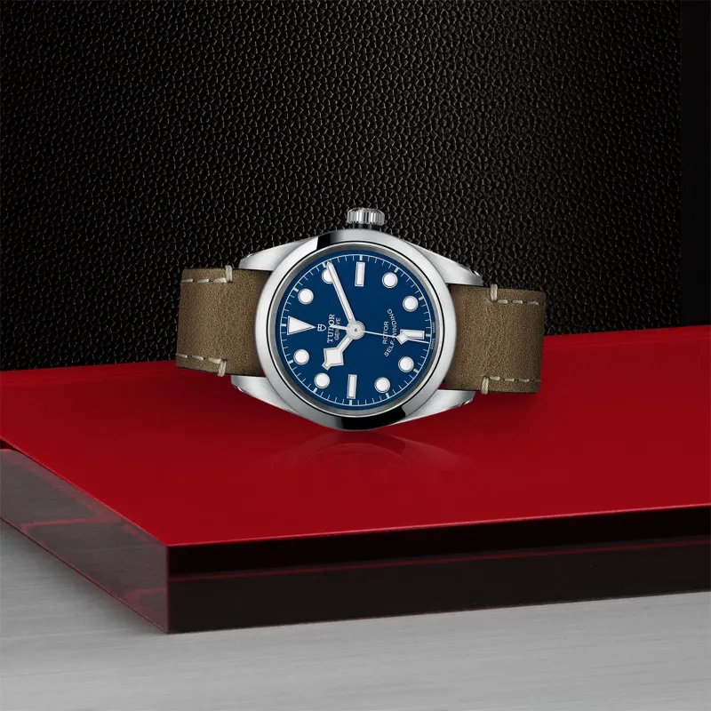 Tudor Black Bay 32 M79580-0004