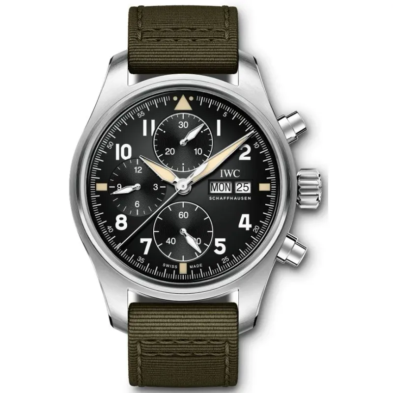 Iwc Schaffhausen Pilots IW387901