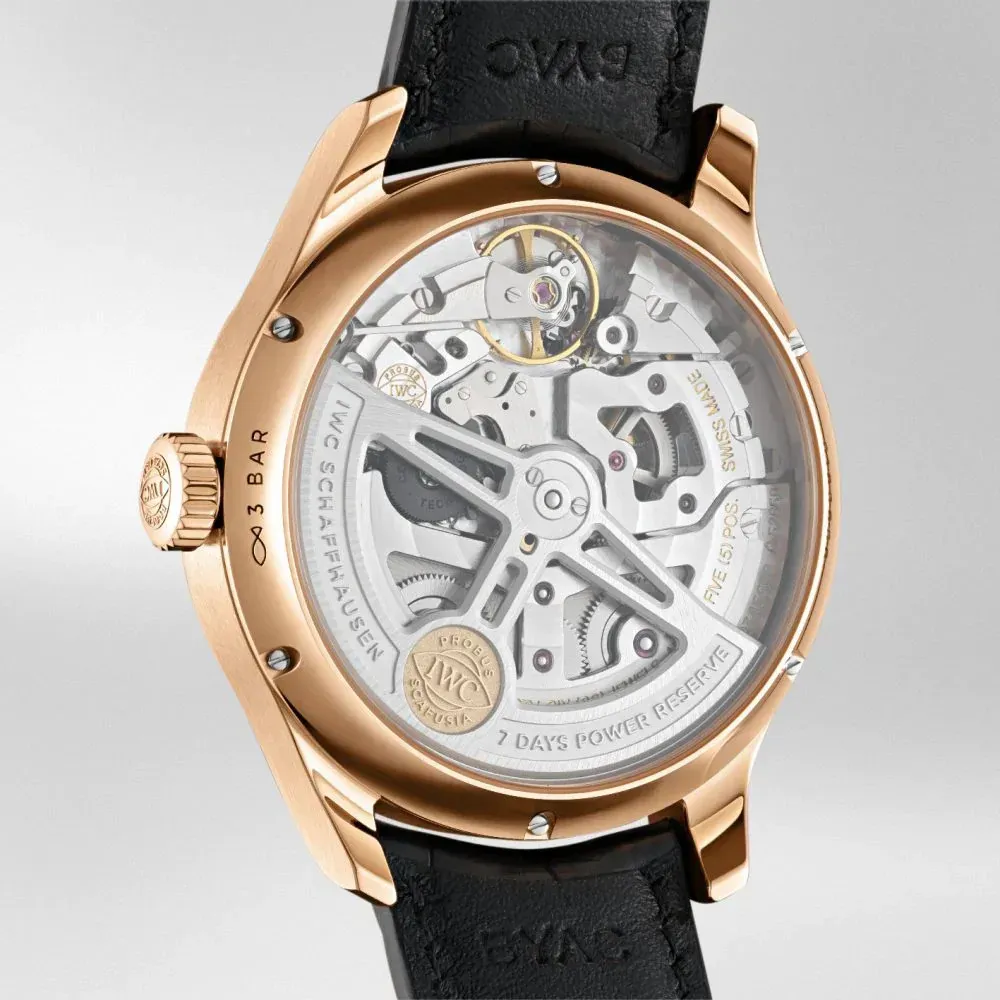 Image Portuguesier Annual Calendar