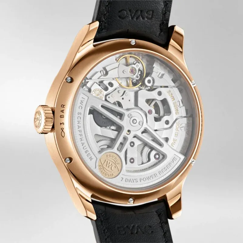 Iwc Schaffhausen Portuguesier Annual Calendar IW503504