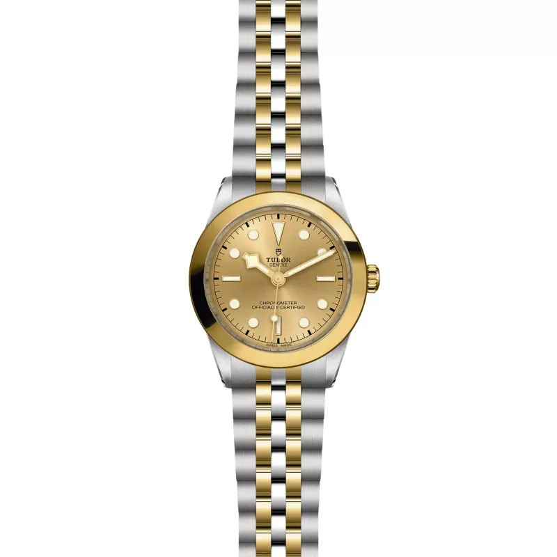 Tudor Black Bay One 39 S&G M79663-0005