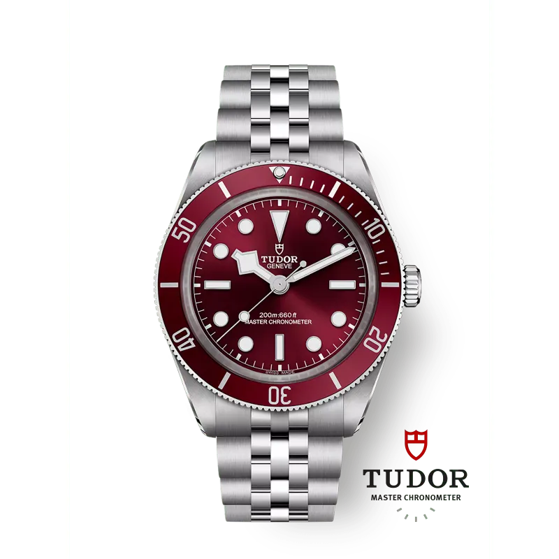 Tudor Black Bay 58 M7939A1A0RU-0001