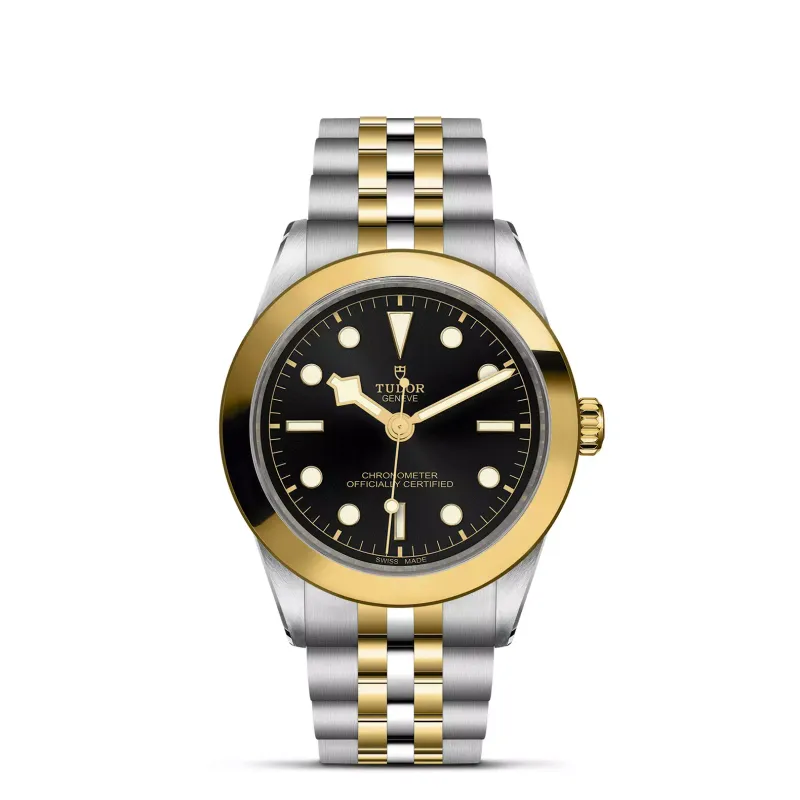 Tudor Black Bay 39 S&G M79663-0001